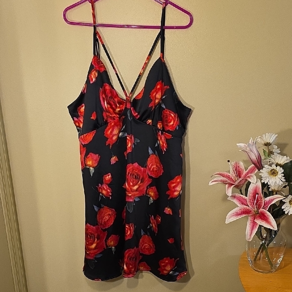 Wild Fable Floral Dress with Red and Black Accents